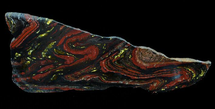 Polished Tiger Iron Stromatolite - ( Billion Years) #65339